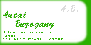 antal buzogany business card