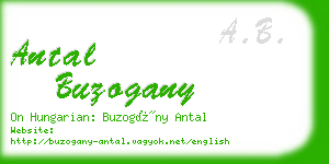 antal buzogany business card